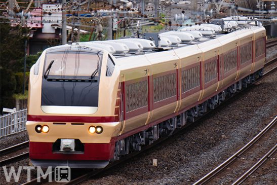 “紅葉コキア” ひたち海浜公園へ臨時列車多数 E653系に「フレッシュひたち」風の“新色”