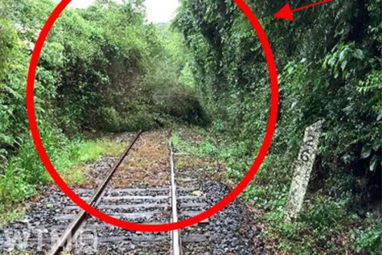 深刻な被害で全線復旧のめど立たず いすみ鉄道 千葉で記録的な大雨 小湊鐵道も一部不通