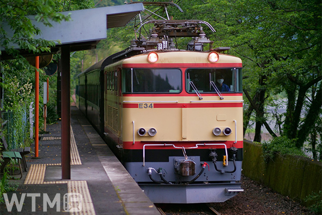 西武鉄道から譲受し、蒸気機関車(SL)列車の補助機関車を中心に運用している大井川鉄道E31形電気機関車(画像提供:大井川鐵道)
