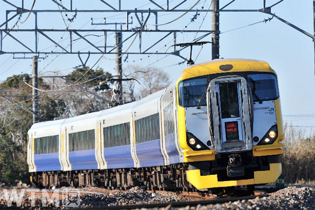 房総方面の特急列車として運行しているJR東日本E257系電車(画像提供:JR東日本)