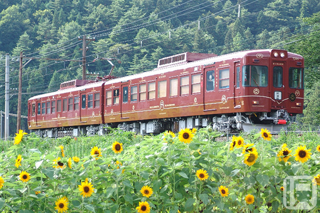 イベント列車「ふじやまビール号」に使用される富士山麓電気鐵道1000系「富士登山電車」(富士山麓電気鐵道提供)