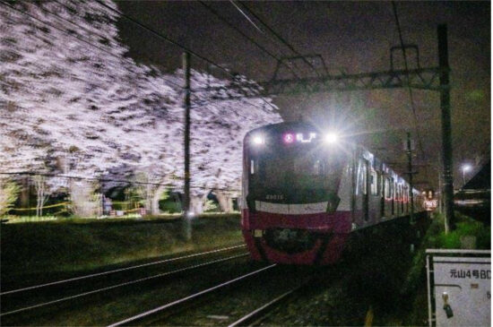2023年に撮影したライトアップされた桜と新京成電鉄80000型電車(京成電鉄提供)