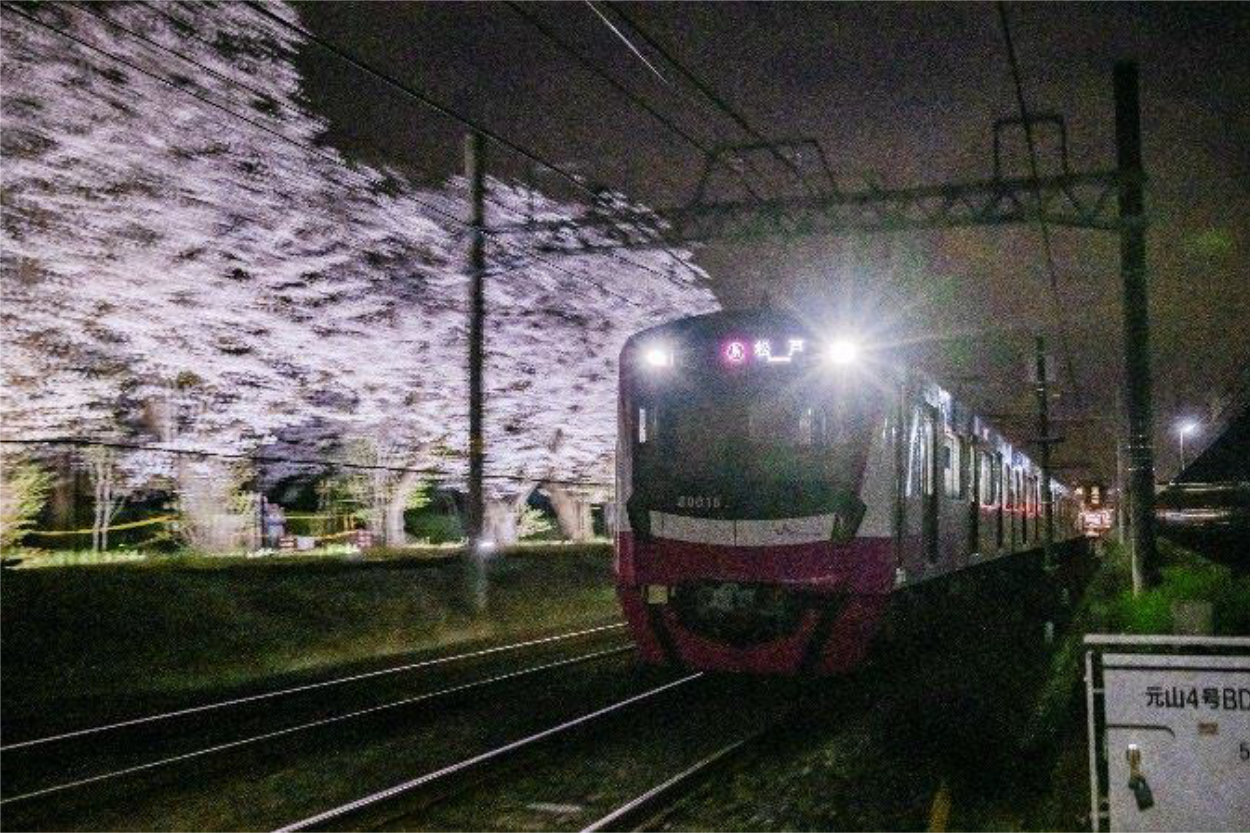 2023年に撮影したライトアップされた桜と新京成電鉄80000型電車(京成電鉄提供)
