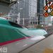 東京駅に停車中の東北新幹線E5系(FranckinJapan/Pixabay)