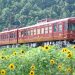 イベント列車「ふじやまビール号」に使用される富士山麓電気鐵道1000系「富士登山電車」(富士山麓電気鐵道提供)